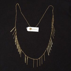 Gorjana marmot fringe necklace.